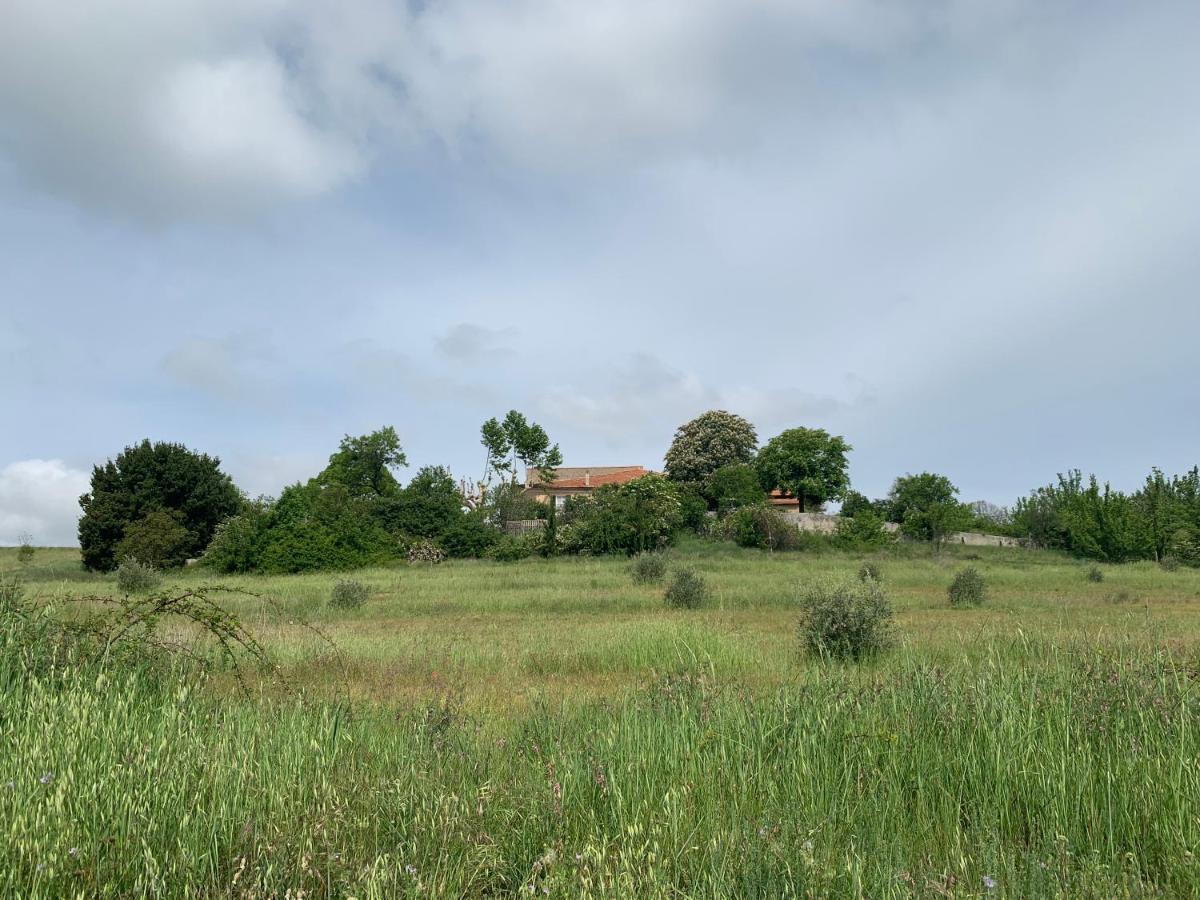 Domaine Le Commandaire Roumoules Εξωτερικό φωτογραφία